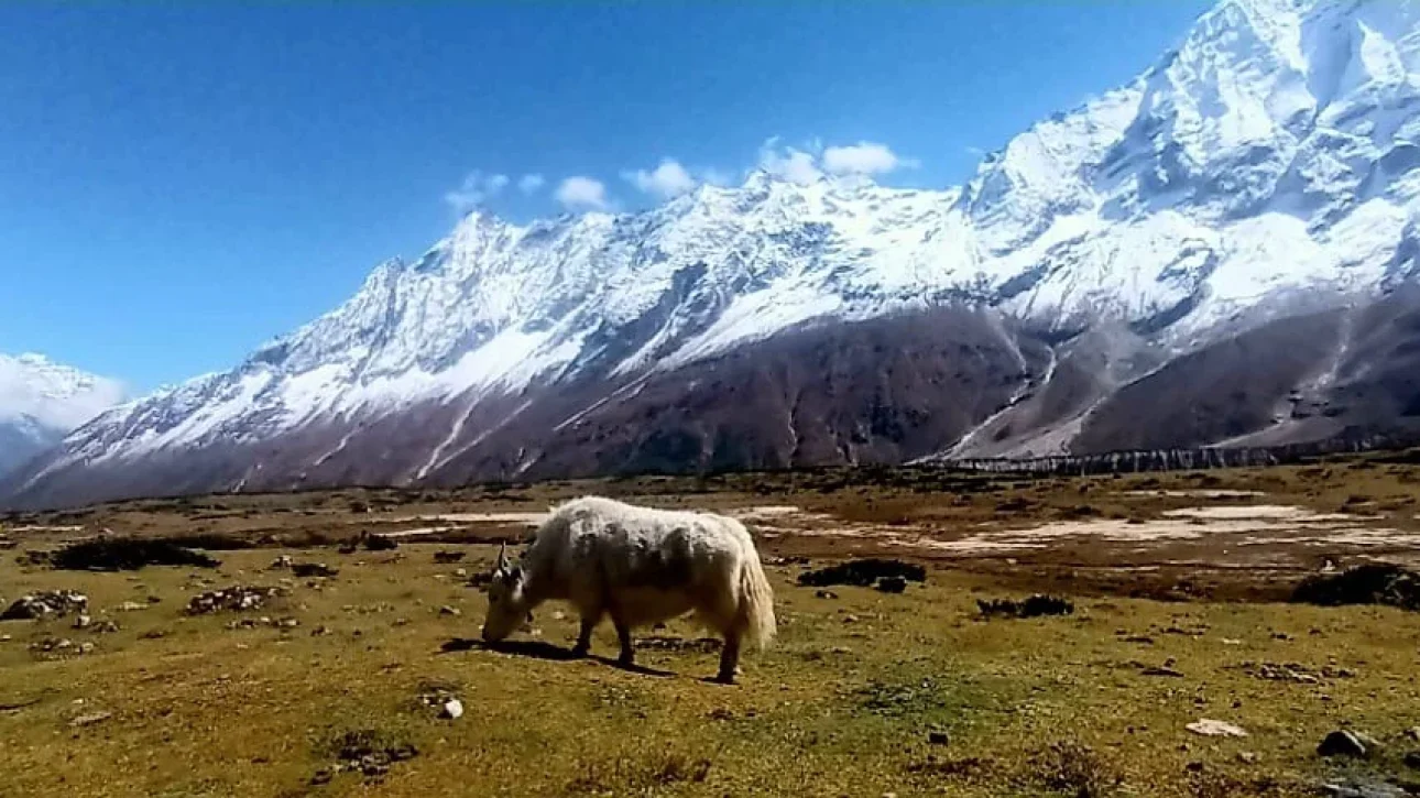 Manaslu Circuite Treks2-SheGuide Treks